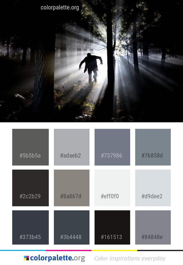 Nature Tree Woody Plant Color Palette