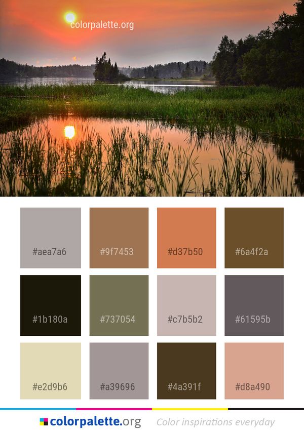 Reflection Nature Water Color Palette