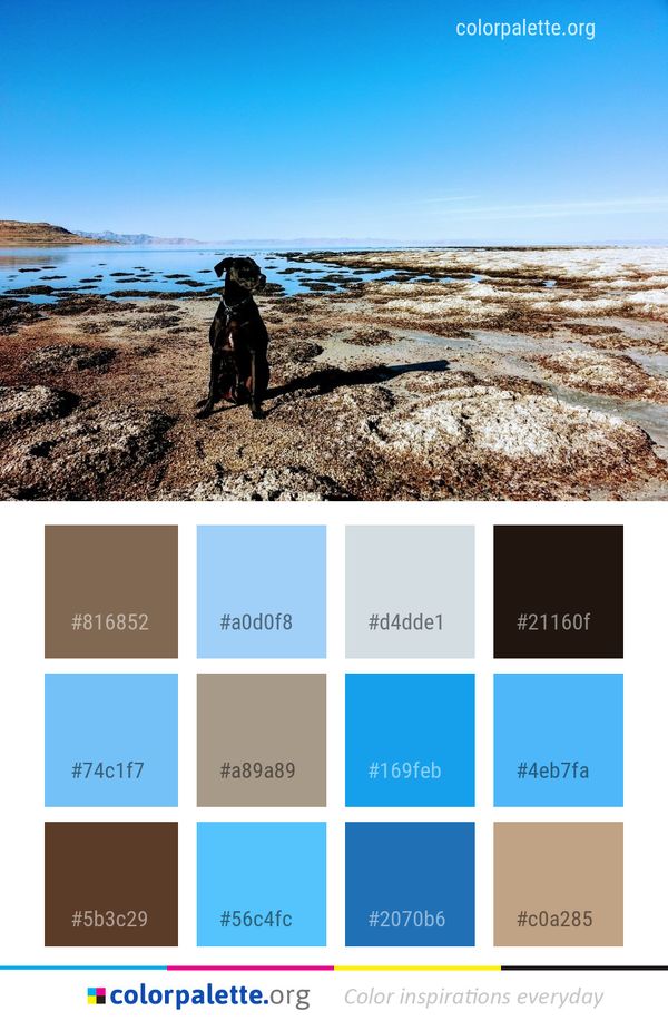 Sky Sea Shore Color Palette