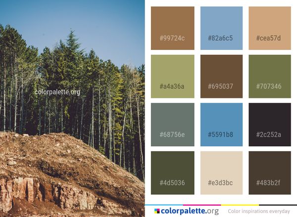 Tree Soil Woody Plant Color Palette