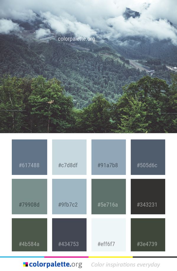 Vegetation Cloud Nature Color Palette