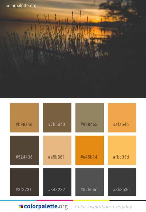 Water Reflection Sky Color Palette