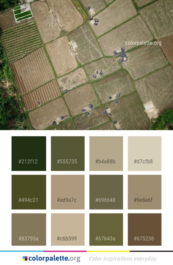 Aerial Photography Grass Color Palette