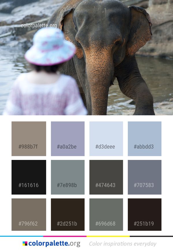 Elephants And Mammoths Elephant Indian Color Palette