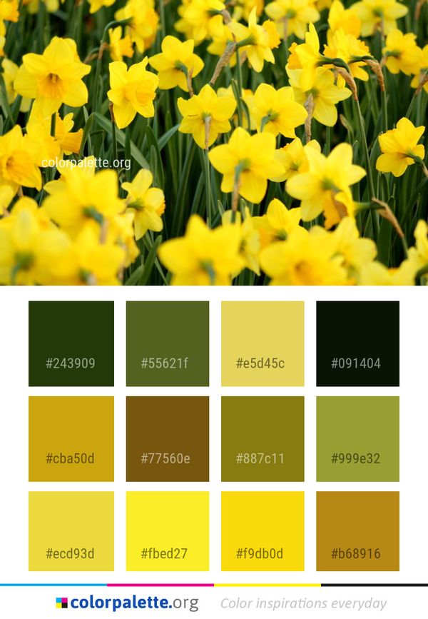 Flower Plant Yellow Color Palette