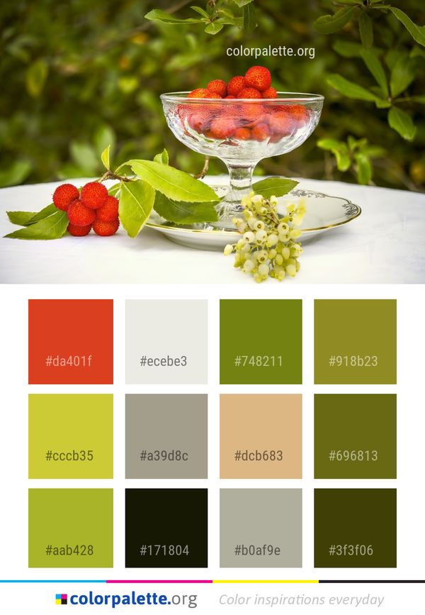 Fruit Strawberry Strawberries Color Palette