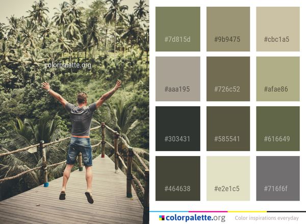 Nature Tree Plant Color Palette