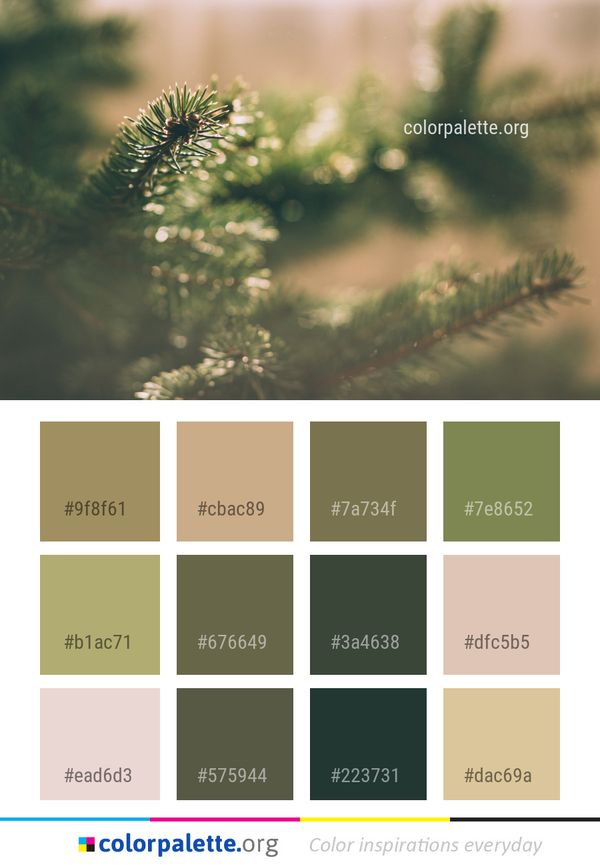 Nature Vegetation Tree Color Palette