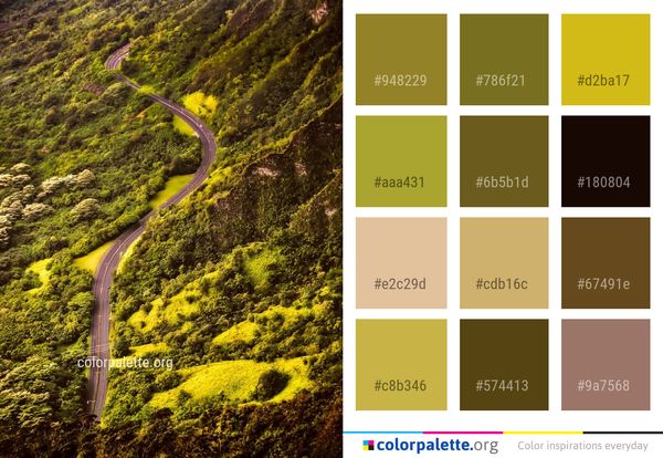 Nature Vegetation Yellow Color Palette