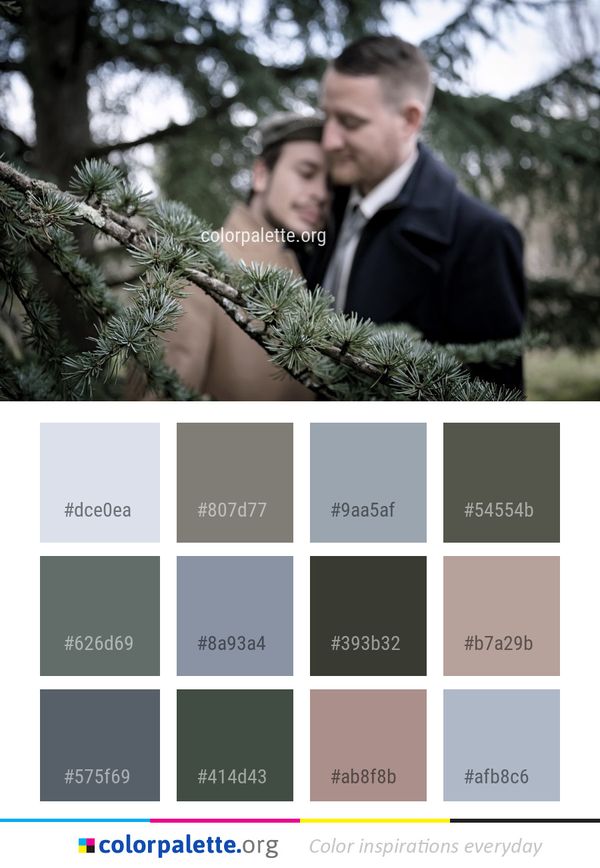 Photograph Tree Woody Plant Color Palette