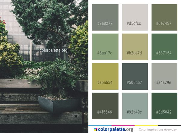 Plant Tree Leaf Color Palette
