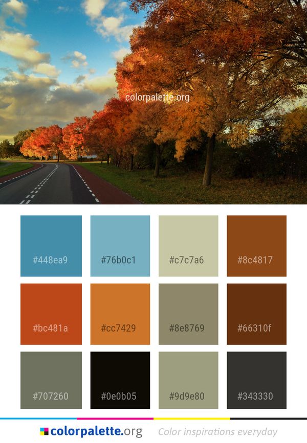 Sky Nature Leaf Color Palette