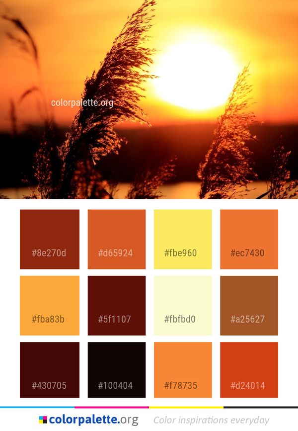 Sky Sun Sunrise Color Palette