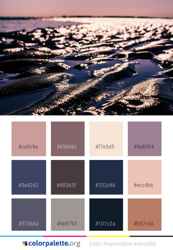 Water Sea Reflection Color Palette