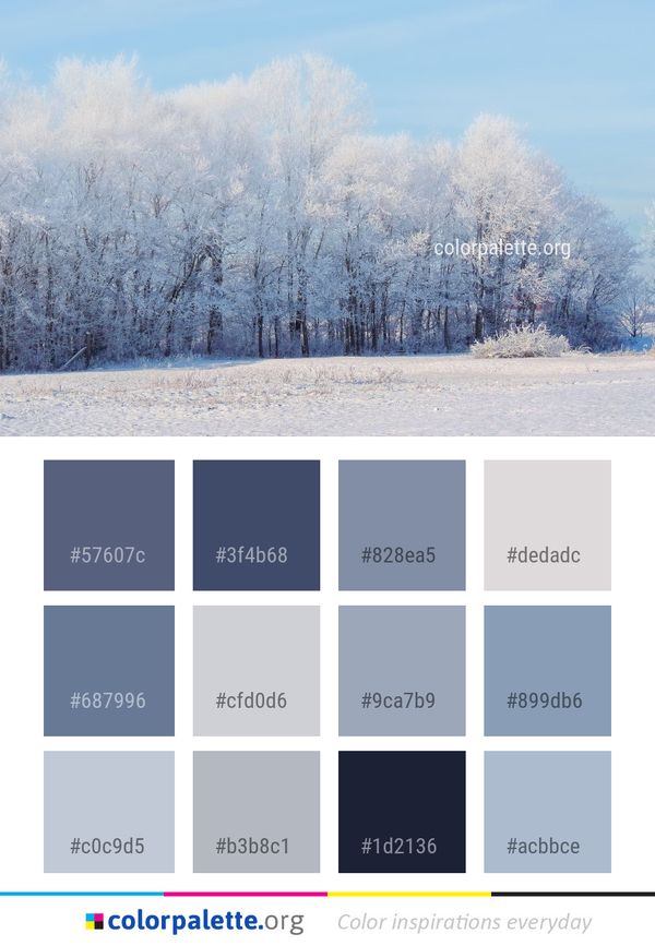 Winter Frost Snow Color Palette
