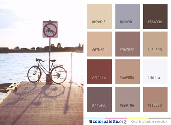 Bicycle Road Mode Of Transport Color Palette