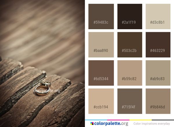Photography Wood Close Up Color Palette