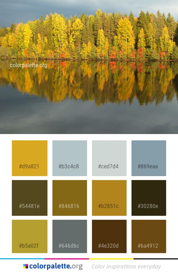 Reflection Water Nature Color Palette