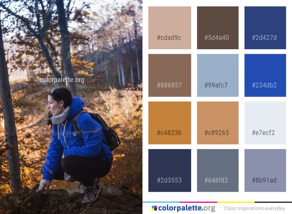 Tree Nature Woody Plant Color Palette