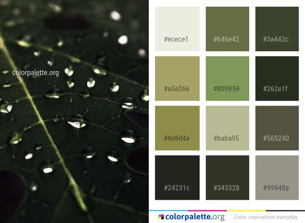 Water Green Dew Color Palette