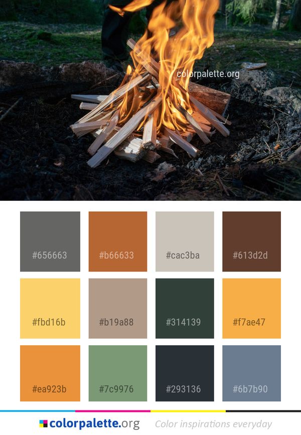 Campfire Fire Wood Color Palette