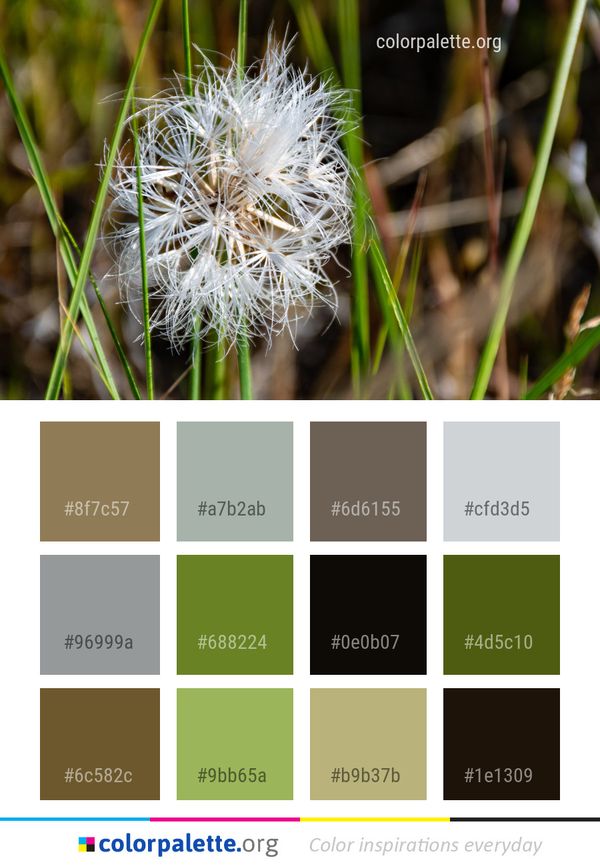 Flora Plant Flower Color Palette