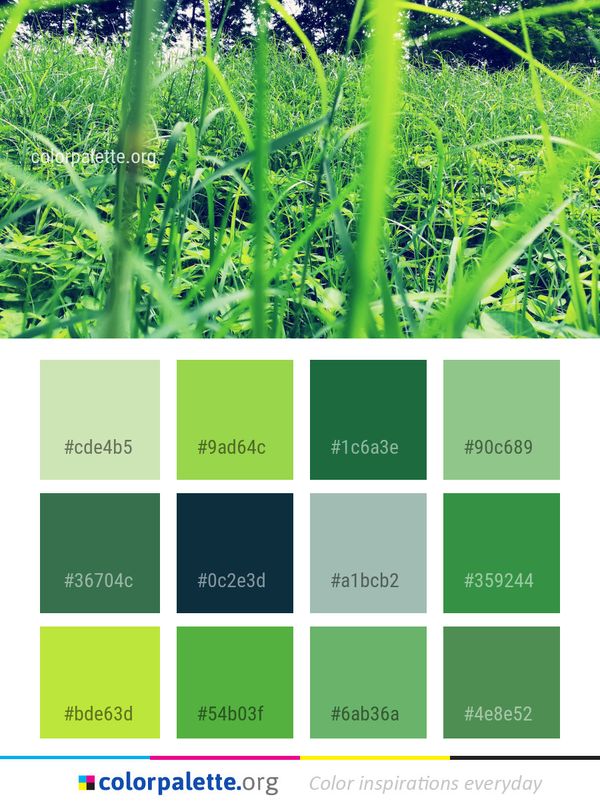 Grass Vegetation Crop Color Palette