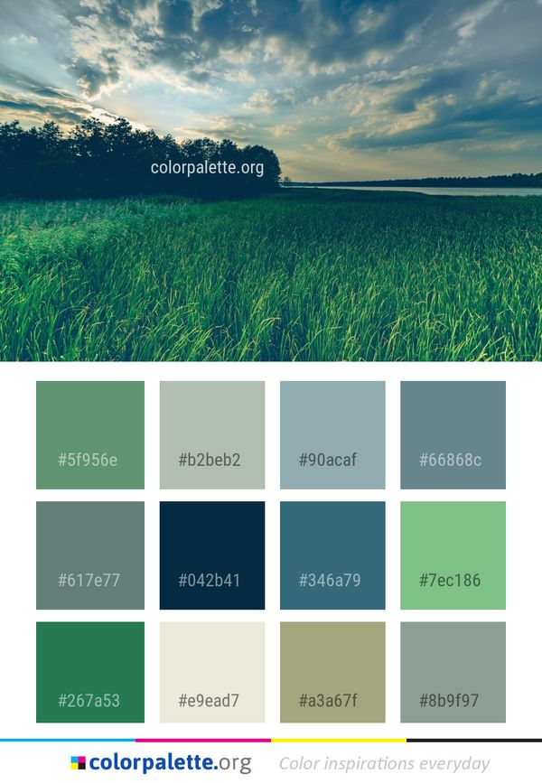 Grassland Sky Field Color Palette