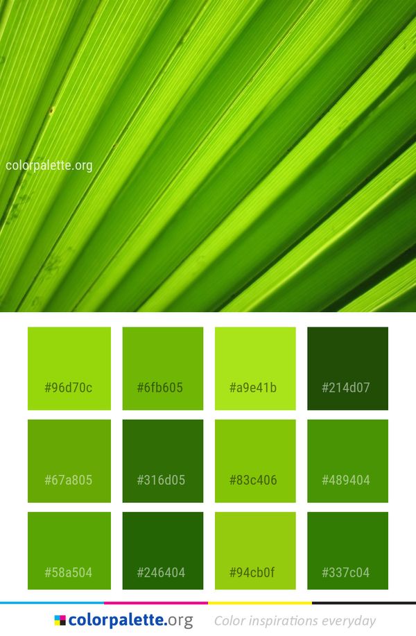 Green Leaf Grass Color Palette