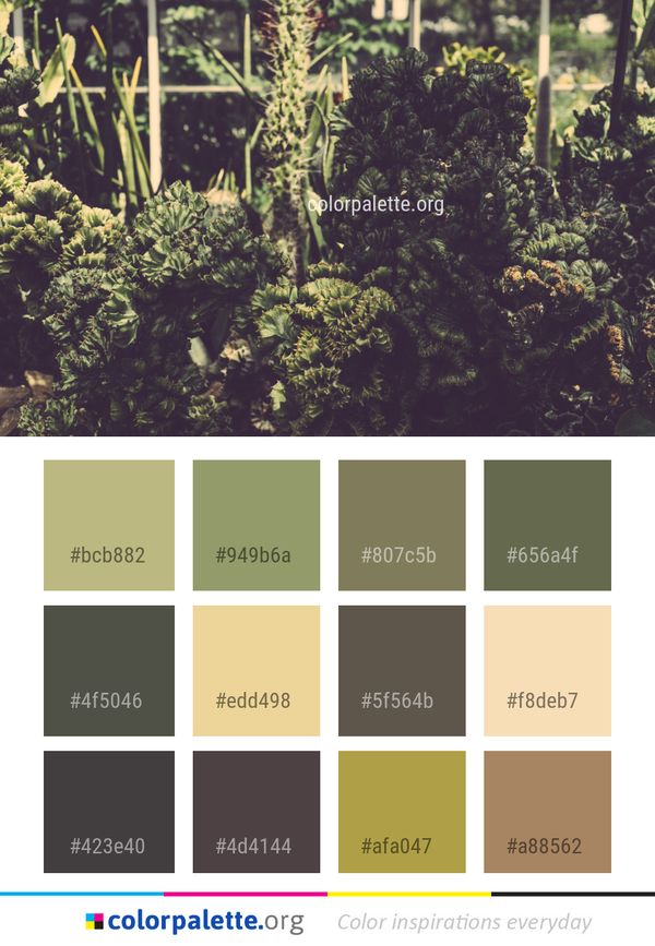 Plant Vegetation Flora Color Palette