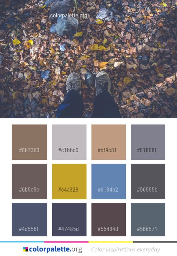 Rock Water Leaf Color Palette