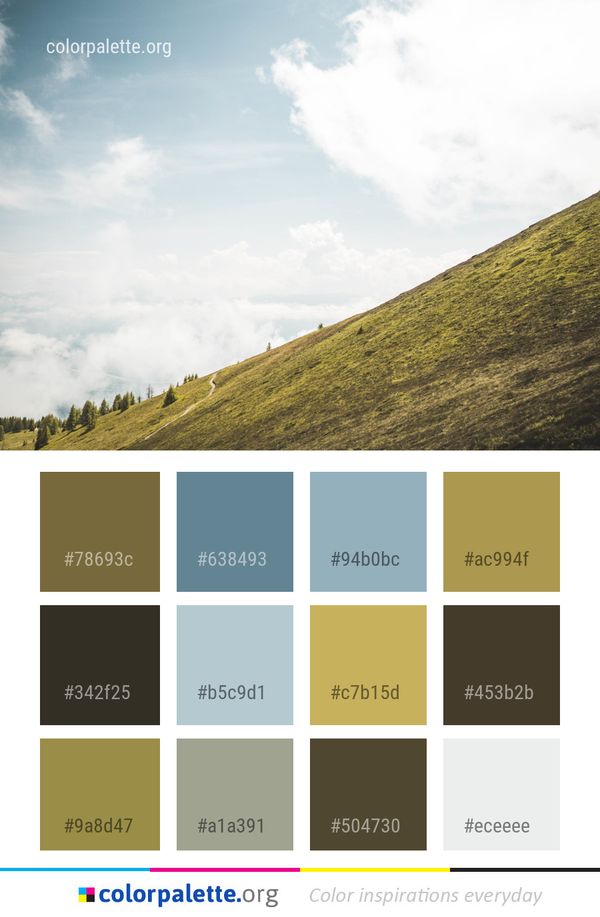Sky Cloud Grassland Color Palette