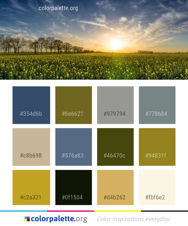 Sky Field Meadow Color Palette