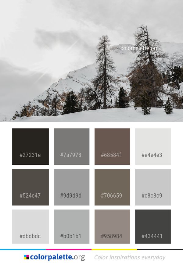 Snow Winter Sky Color Palette