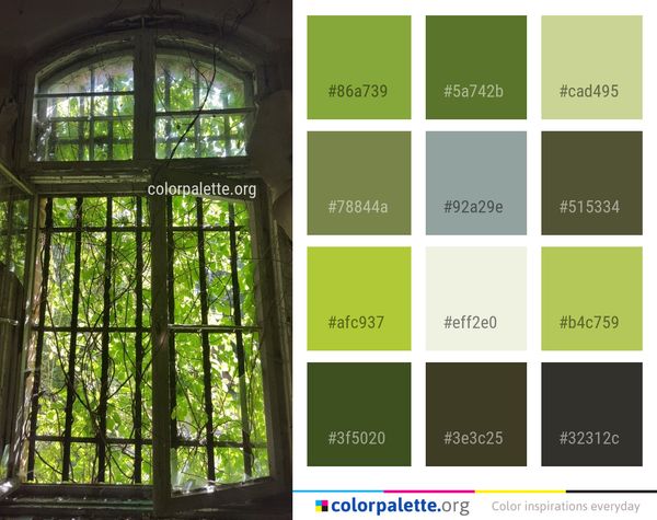 Window Glass Tree Color Palette