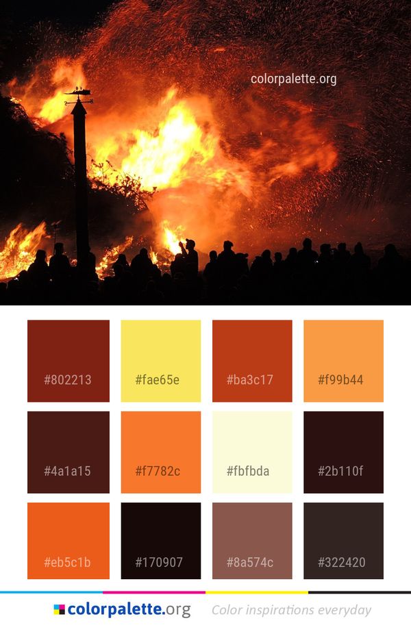 Fire Bonfire Wildfire Color Palette