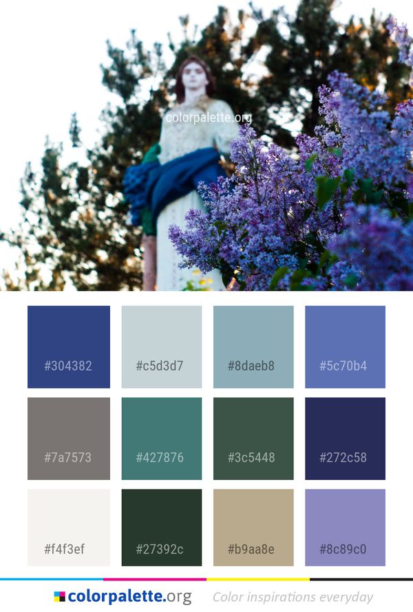 Flower Blue Plant Color Palette