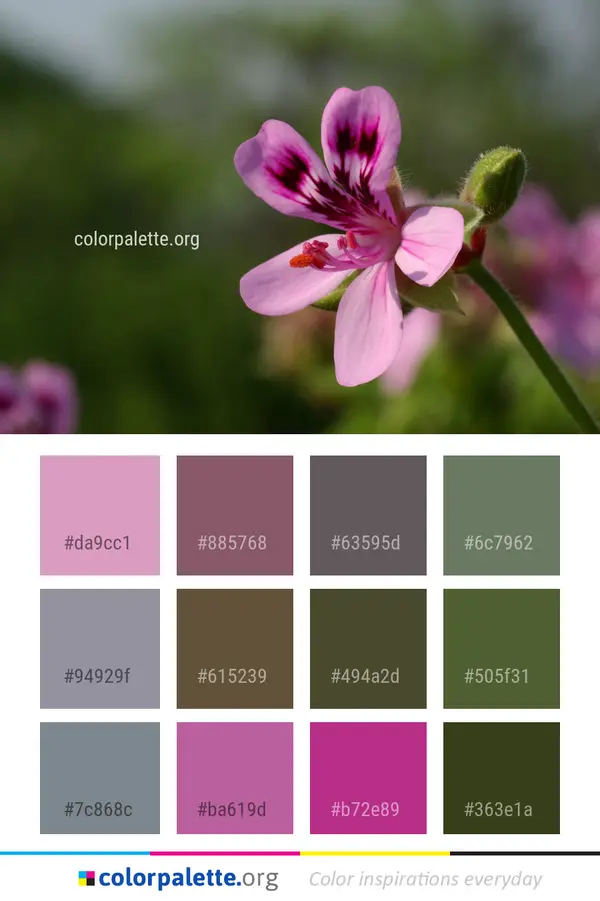 Floral Color Palettes — Digital Book preview 6
