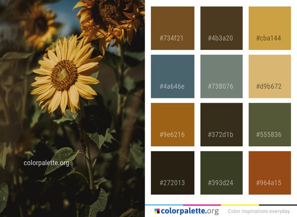 Flower Sunflower Yellow Color Palette