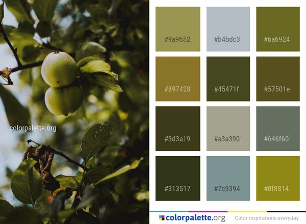 Leaf Fruit Tree Branch Color Palette