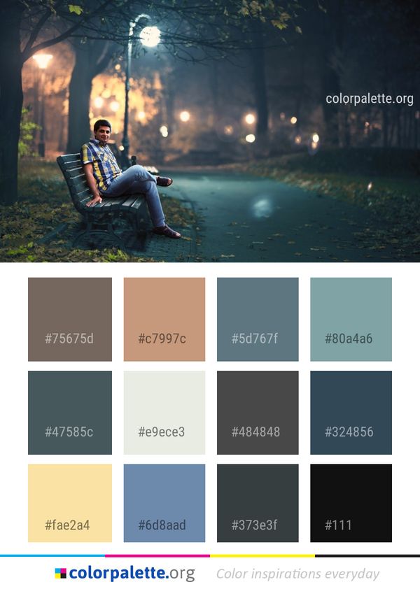 Nature Photograph Tree Color Palette