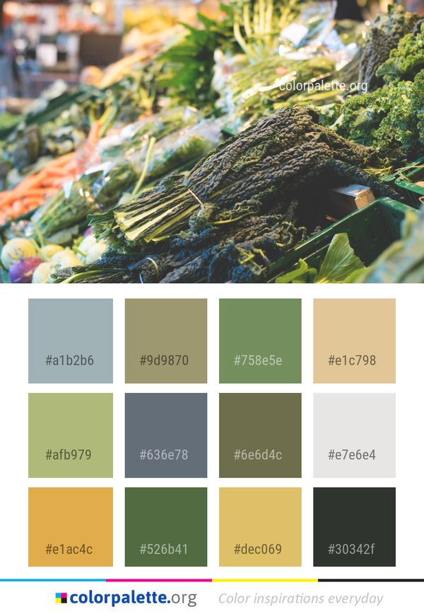 Produce Local Food Vegetable Color Palette