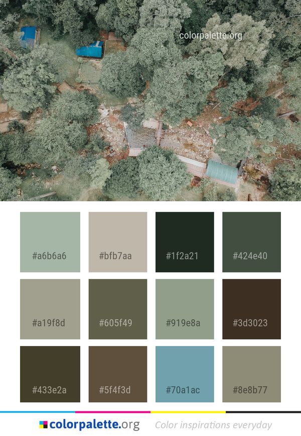 Reef Biome Tree Color Palette