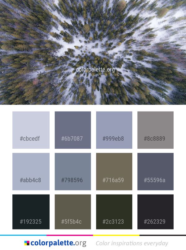 Sky Tree Organism Color Palette