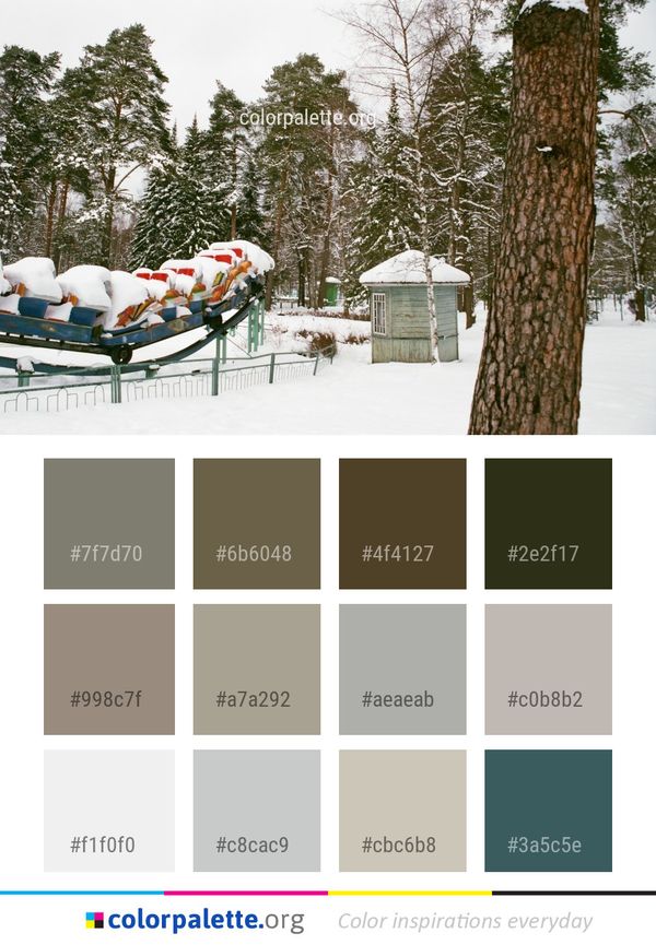 Snow Winter Tree Color Palette