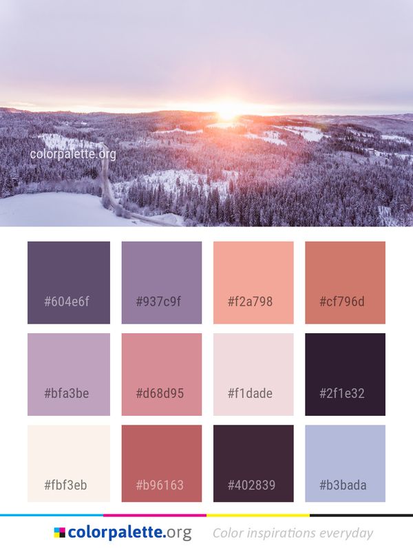 Winter Sky Snow Color Palette