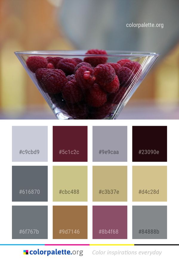Dessert Sweetness Raspberry Color Palette