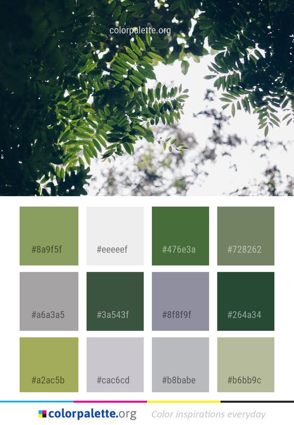 Leaf Vegetation Tree Color Palette
