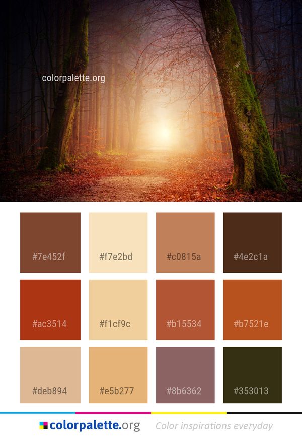 Nature Forest Light Color Palette