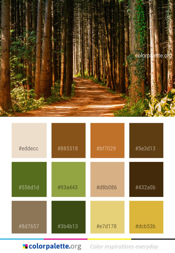 Nature Forest Tree Color Palette